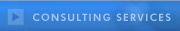 Consulting Services