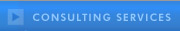 Consulting Services